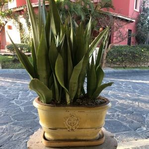 Meet your Posher, Alice